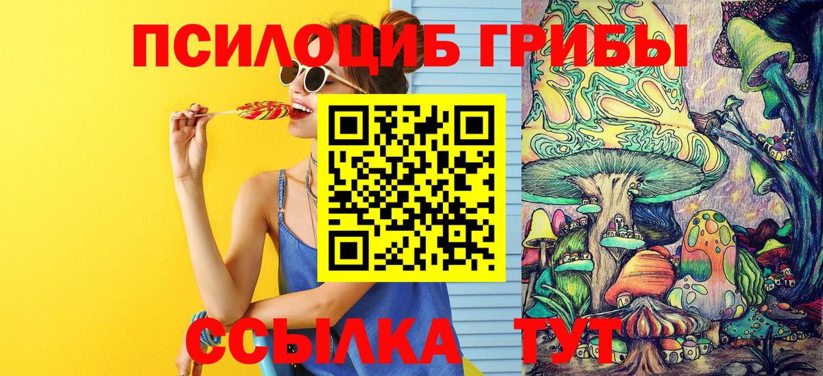 Галлюциногенные грибы мицелий  Вход с VPN  Псилоцибиновые грибы Cubensis  Заринск 